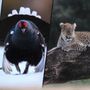 Confini invisibili: le meraviglie della natura in un video racconto al cinema Monviso Confini invisibili: le meraviglie della natura in un video racconto al cinema Monviso