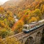 Treno del Foliage: 52 chilometri tra i colori dell'autunno Treno del Foliage: 52 chilometri tra i colori dell'autunno