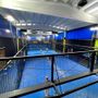 Padel e asado: trionfano Racca-Minero e Pasquale-Molineris al torneo Fisio Centallo