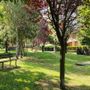 Saluzzo pianta 96 nuovi alberi: il verde urbano si rinnova dopo l'estate più calda mai registrata Saluzzo pianta 96 nuovi alberi: il verde urbano si rinnova dopo l'estate più calda mai registrata