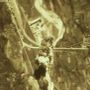 ACCADDE OGGI / Agosto 1944, quando la guerra arrivò davvero nelle case dei cuneesi ACCADDE OGGI / Agosto 1944, quando la guerra arrivò davvero nelle case dei cuneesi