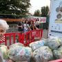 L'assessore Roberto Cavallo a Collisioni