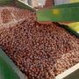 Noccioleti e vigneti, preoccupano le difficoltà di due "pilastri" dell’economia agricola di Langhe e Roero Noccioleti e vigneti, preoccupano le difficoltà di due "pilastri" dell’economia agricola di Langhe e Roero