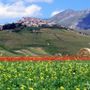 Terreni montani, l’Assemblada Occitana Valades: “Tagliare burocrazia e costi per favorire le compravendite tra valligiani”
