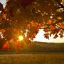 METEO / L'autunno può attendere: settimana di sole e temperature in rialzo METEO / L'autunno può attendere: settimana di sole e temperature in rialzo