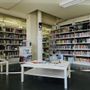 Bra, dal 14 settembre nuovi orari per la Biblioteca civica “Giovanni Arpino” Bra, dal 14 settembre nuovi orari per la Biblioteca civica “Giovanni Arpino”