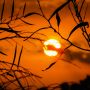 Notte rovente nella Granda: l'anticiclone non dà tregua, temperature inchiodate sopra i 20 gradi all'alba. Anche oggi attesi 35° Notte rovente nella Granda: l'anticiclone non dà tregua, temperature inchiodate sopra i 20 gradi all'alba. Anche oggi attesi 35°