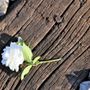 Dopo un suicidio, “chi resta” non deve essere lasciato solo: la risposta de La Voce di Elisa Dopo un suicidio, “chi resta” non deve essere lasciato solo: la risposta de La Voce di Elisa