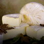 Piemonte protagonista a Casearia, fiera nazionale in Molise Piemonte protagonista a Casearia, fiera nazionale in Molise