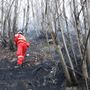Cessa l'emergenza per gli incendi boschivi