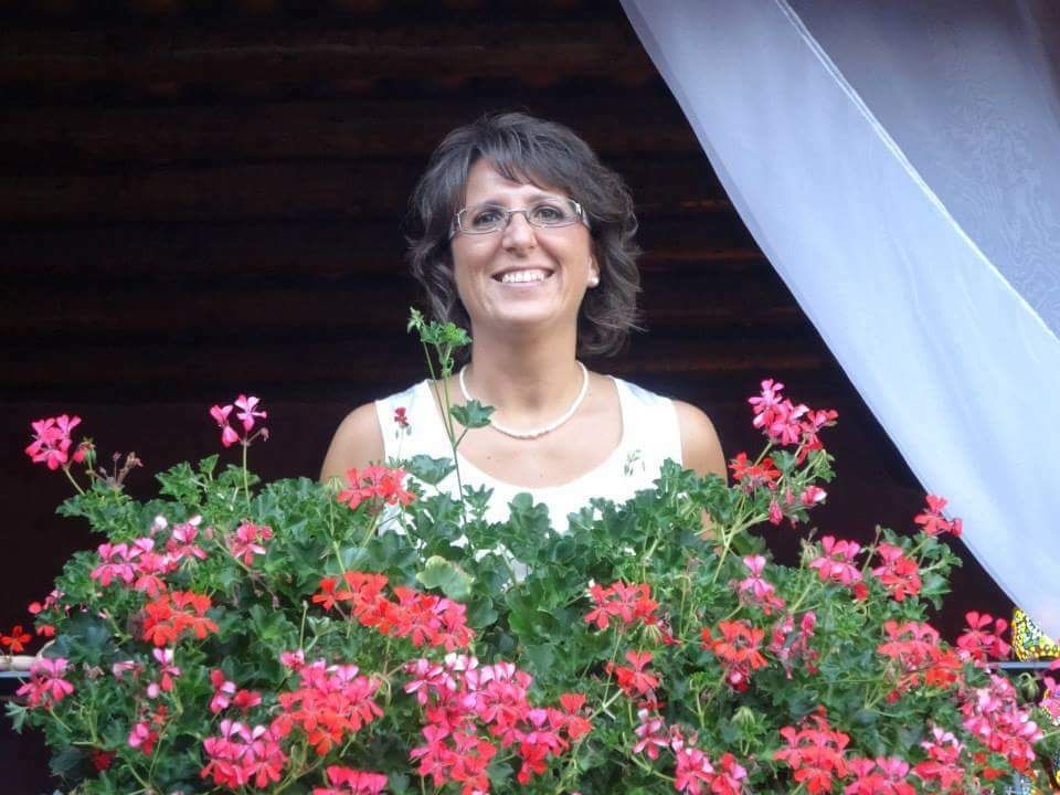 In foto il geranio rosso In foto il geranio rosso