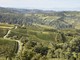 Il panorama delle Langhe e del Roero - fotografia di Marco Badiani Il panorama delle Langhe e del Roero - fotografia di Marco Badiani