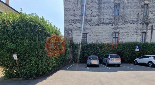 L'area di via Roma con le siepi dove sono state posizionate le ciotole con il cibo per gatti L'area di via Roma con le siepi dove sono state posizionate le ciotole con il cibo per gatti