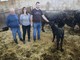 Papà Franco, Elisa e Ivan nella stalla con un piccolo bufalo appena nato