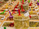 QuintEssenza a Savigliano: le erbe officinali tra botanica e cucina QuintEssenza a Savigliano: le erbe officinali tra botanica e cucina