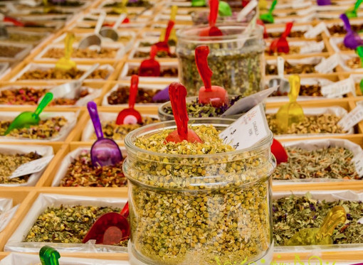 QuintEssenza a Savigliano: le erbe officinali tra botanica e cucina QuintEssenza a Savigliano: le erbe officinali tra botanica e cucina