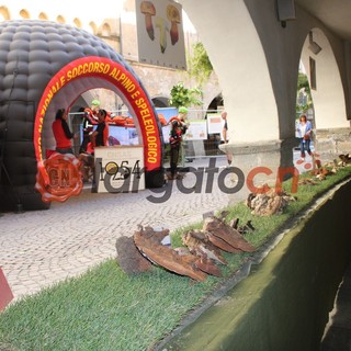 Il Soccorso Alpino e Speleologico a Ceva con la campagna di sicurezza: “Funghi sì, rischi no” Il Soccorso Alpino e Speleologico a Ceva con la campagna di sicurezza: “Funghi sì, rischi no”
