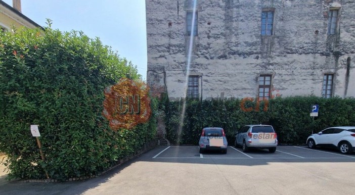 L'area di via Roma con le siepi dove sono state posizionate le ciotole con il cibo per gatti L'area di via Roma con le siepi dove sono state posizionate le ciotole con il cibo per gatti