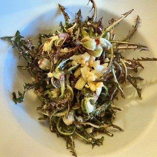 L’insalata di Tarassaco? Venite ad assaggiarla al ristorante Valli di Lanzo a Ceres L’insalata di Tarassaco? Venite ad assaggiarla al ristorante Valli di Lanzo a Ceres