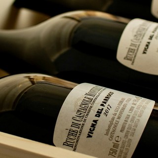 Il Ruchè “Vigna del Parroco” di Luca Ferraris: l’eredità di Don Cauda nel futuro del Monferrato