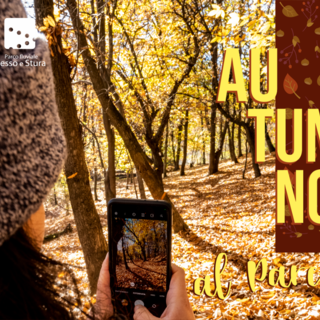 Ottobre al Parco Gesso e Stura: un mese tra arte, natura e creatività