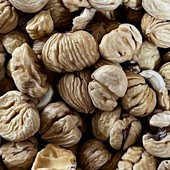 Azienda Agricola Marco Bozzolo: investire sulle castagne per custodire i castagneti Azienda Agricola Marco Bozzolo: investire sulle castagne per custodire i castagneti