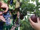 La vendemmia (foto di Debora Lombardi) e la raccolta delle mele