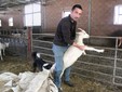 Marco con alcune capre piccole nella stalla di Valdieri