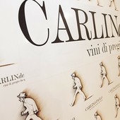 Carlin de Paolo: quattro fratelli e una cantina capace di raccontare un territorio in crescita Carlin de Paolo: quattro fratelli e una cantina capace di raccontare un territorio in crescita