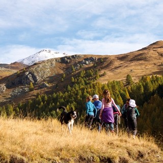 I Trofei MaB UNESCO della Riserva Transfrontaliera del Monviso arrivano alla decima edizione I Trofei MaB UNESCO della Riserva Transfrontaliera del Monviso arrivano alla decima edizione