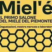Miel’é: a metà aprile a Moncalieri il primo salone piemontese del miele Miel’é: a metà aprile a Moncalieri il primo salone piemontese del miele