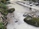 Frabosa Sottana, acque sporche e moria di trote nel torrente Maudagna [FOTO]