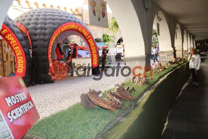 Il Soccorso Alpino e Speleologico a Ceva con la campagna di sicurezza: “Funghi sì, rischi no” Il Soccorso Alpino e Speleologico a Ceva con la campagna di sicurezza: “Funghi sì, rischi no”