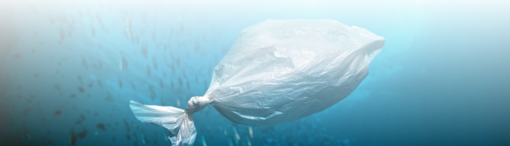 "La bellezza salverà il mondo": venerdì 20 febbraio a Dronero la serata di sensibilizzazione ambientale di Plastic Free Cuneo "La bellezza salverà il mondo": venerdì 20 febbraio a Dronero la serata di sensibilizzazione ambientale di Plastic Free Cuneo