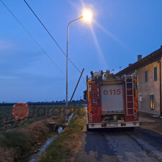 Foto di Noemi Bertaina