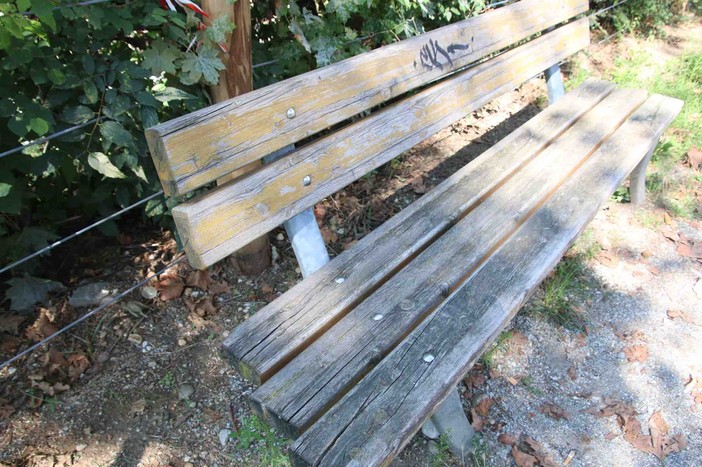 La Consulta torna a bussare in Comune per le panchine dismesse del Viale degli Angeli