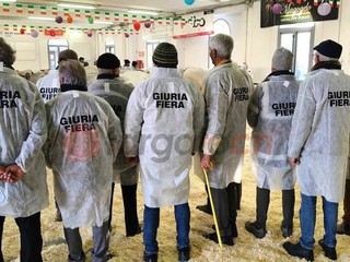 Il paese torna a essere capitale della zootecnia piemontese e custode di un’eredità che non smette di affascinare Il paese torna a essere capitale della zootecnia piemontese e custode di un’eredità che non smette di affascinare