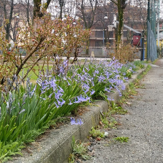 Corpo, mente e terra: due appuntamenti gratuiti nella Casa del Quartiere Donatello di Cuneo