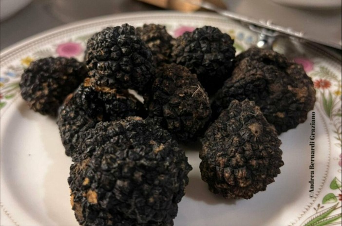 Alla scoperta del Tartufo Nero: lezione esclusiva per gli chef del Cuneese organizzata dall'ATL