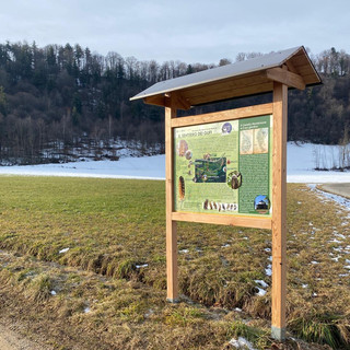 Sulla collina di Mombrisone a Chiusa di Pesio nasce il Sentiero dei Gufi: un percorso didattico alla scoperta dei rapaci
