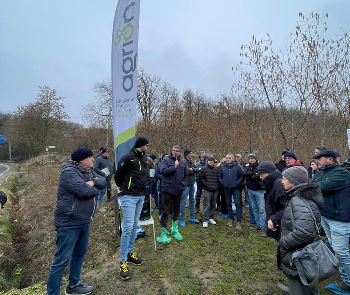 Agrion sperimenta a Cravanzana l'impollinazione artificiale dei noccioleti: lunedì il via con 200 operatori