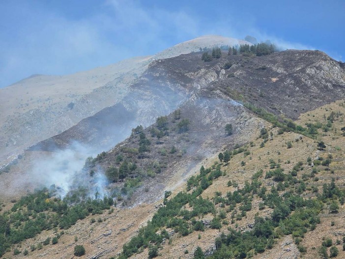 Le immagini dall'incendio boschivo di Valdieri, uno dei quattordici in corso in Piemonte in queste ore Le immagini dall'incendio boschivo di Valdieri, uno dei quattordici in corso in Piemonte in queste ore