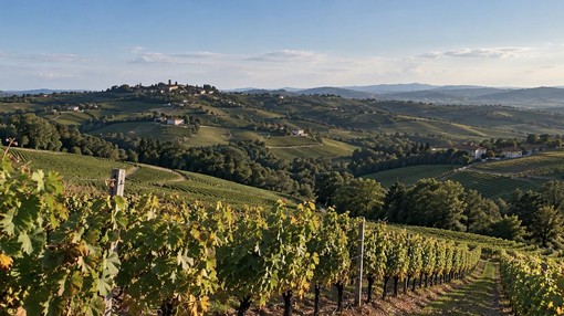 Turismo del vino, tabUi tra i tre progetti più innovativi d’Europa secondo Un Tourism Turismo del vino, tabUi tra i tre progetti più innovativi d’Europa secondo Un Tourism