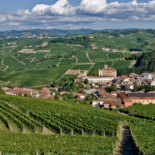 Una veduta di Barolo col suo castello Una veduta di Barolo col suo castello