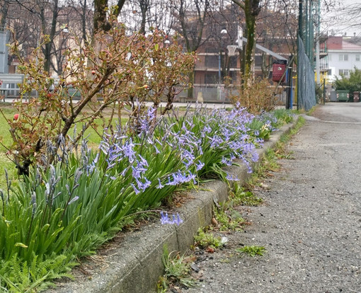 Corpo, mente e terra: due appuntamenti gratuiti nella Casa del Quartiere Donatello di Cuneo
