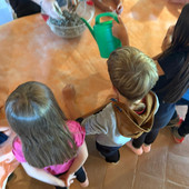 Ad Alba i bambini diventano "Piccoli Esploratori del Verde": al via i laboratori nella natura