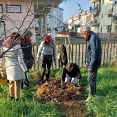 Nella Food Foresti della Casa del Quartiere a Cuneo arriva un corso sulla potatura naturale delle piante da frutto Nella Food Foresti della Casa del Quartiere a Cuneo arriva un corso sulla potatura naturale delle piante da frutto