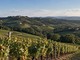 Turismo del vino, tabUi tra i tre progetti più innovativi d’Europa secondo Un Tourism
