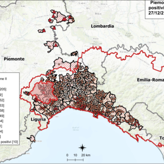 Peste suina africana: nessun nuovo caso in Piemonte, due in Liguria Peste suina africana: nessun nuovo caso in Piemonte, due in Liguria
