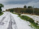 Grandine a Mango (foto dalla pagina Facebook Meteo Piemonte (https://www.facebook.com/meteopiemonteofficial) Grandine a Mango (foto dalla pagina Facebook Meteo Piemonte (https://www.facebook.com/meteopiemonteofficial)
